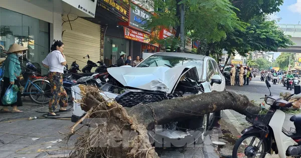 Giám đốc Công an Hà Nội chỉ đạo khẩn trương điều tra vụ tai nạn trên phố Trần Đại Nghĩa