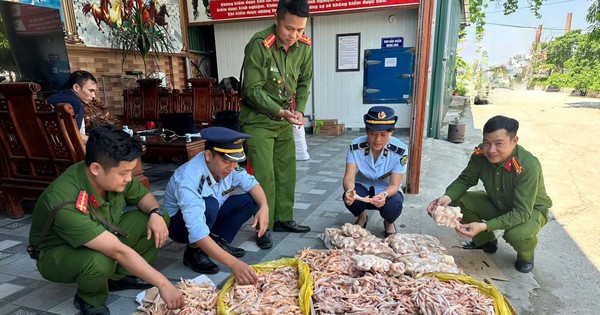 Phát hiện gần nửa tấn chân gà, đuôi lợn không rõ nguồn gốc ở cơ sở thực phẩm sạch