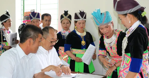 Hướng thoát nghèo cho đồng bào dân tộc thiểu số từ cây tỏi Nhật Bản