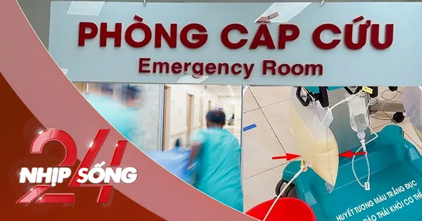 NHỊP SỐNG 24: Sau bữa nhậu, người đàn ông cấp cứu với chỉ số mỡ máu tăng gấp 45 lần