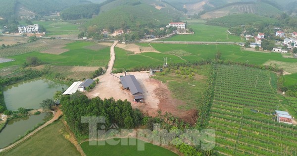 Yêu cầu xưởng gỗ 'khủng' xây dựng trái phép dừng hoạt động sau phản ánh của Tiền Phong