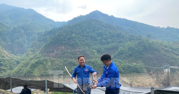 Chuyện về Thào A Lo - chàng trai khơi nguồn khát vọng thoát nghèo trên 'sống lưng khủng long'