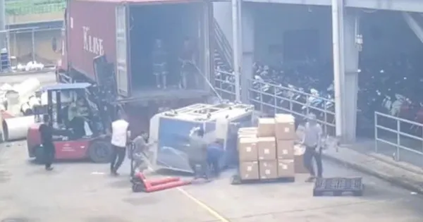 Hai người đàn ông ở Phú Thọ thương vong vì bị kiện hàng đè lên người
