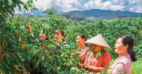 Câu chuyện thoát nghèo của phụ nữ Lạng Sơn