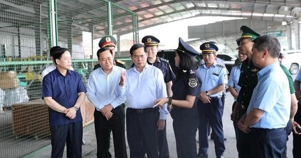 Phó Thủ tướng Bùi Thanh Sơn chỉ đạo công tác phòng chống buôn lậu ở Lạng Sơn