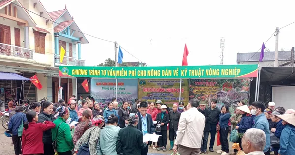 Cách giảm nghèo bền vững cho nông dân Lạng Sơn