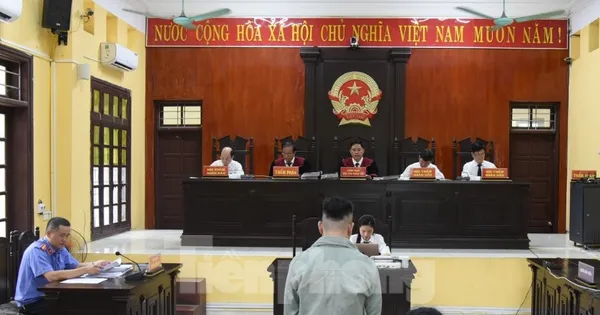 Vận chuyển 270 kg ma túy, 2 bị cáo lĩnh án tù chung thân