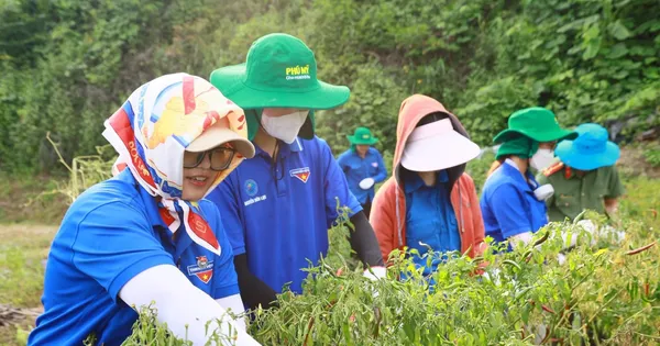 Mùa hè xanh ở Lạng Sơn