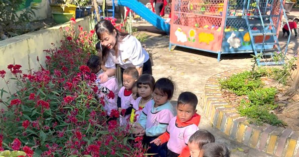 Quảng Trị chậm xét thăng hạng chức danh nghề nghiệp cho giáo viên