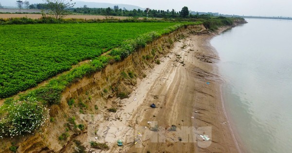 Bờ sông Lam sạt lở nghiêm trọng, cuốn trôi nhiều diện tích đất