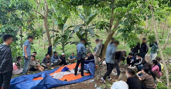 Triệt xóa sới bạc trong rừng, bắt nhiều đối tượng có tiền án