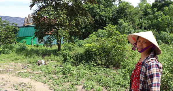 Vụ áp thuế gần 4,5 tỷ cho 300m² đất: Sở Tài nguyên Nghệ An báo cáo ra sao?
