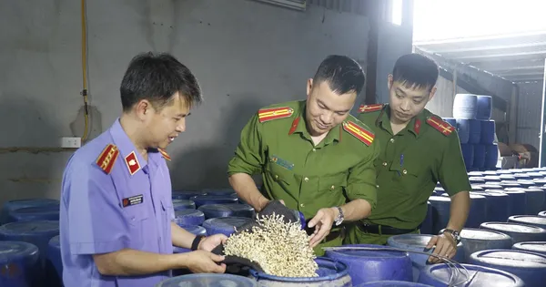 'Nóng' hàng giả, thực phẩm bẩn tại kỳ họp HĐND tỉnh