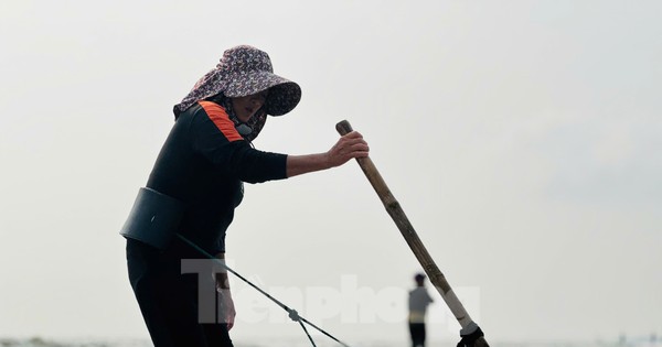 'Lộc biển' dạt trắng bờ biển, ngư dân cào ốc ngày kiếm tiền triệu