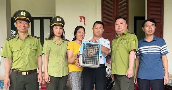 Phát hiện động vật quý hiếm trong vườn nhà dân