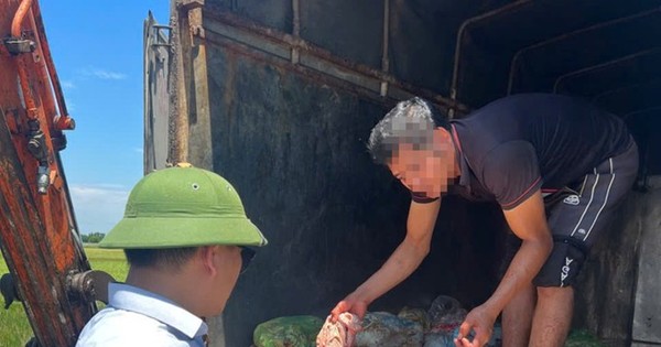 Phát hiện hơn 1 tấn sản phẩm động vật đang phân hủy trên xe tải