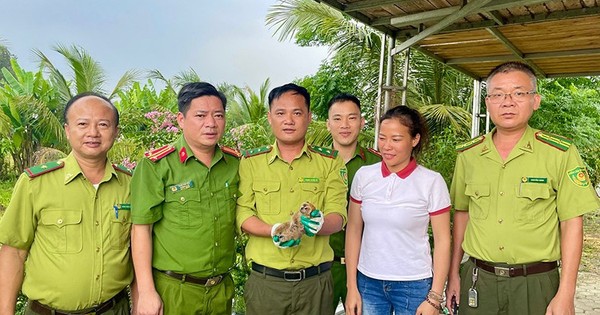 Động vật quý hiếm bất ngờ xuất hiện trong vườn nhà dân