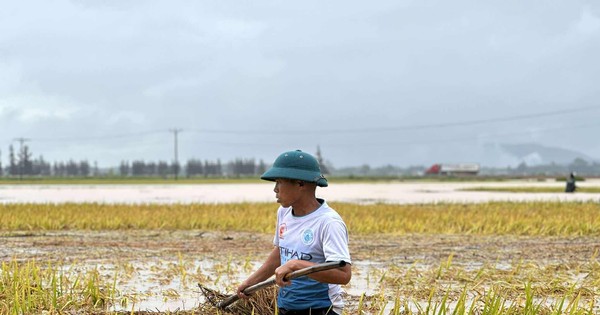 Lũ đến bất ngờ vào mùa hè: 'Chúng tôi mất trắng… rồi'