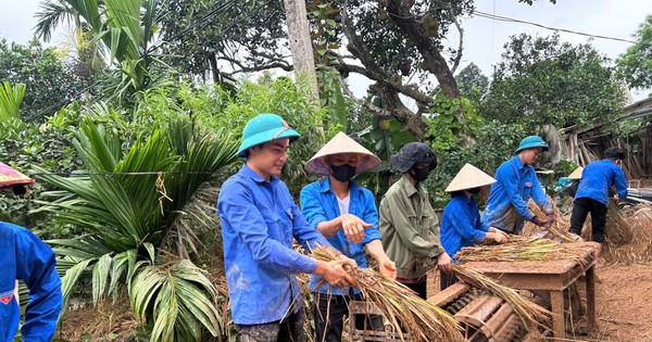 Tuổi trẻ Hà Tĩnh xuống đồng gặt lúa hỗ trợ người dân