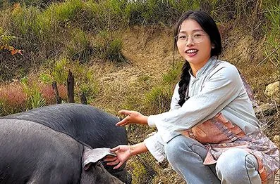 Cô gái bỏ việc văn phòng về quê nuôi lợn