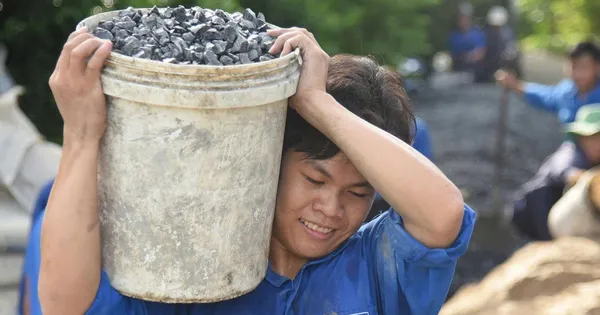 Sinh viên tình nguyện nối nhịp đôi bờ ở vùng quê Đồng Tháp