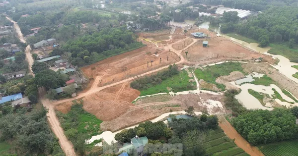 tienphong.vn