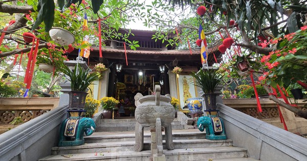 Hà Nội: Cận cảnh khu đất sẽ thu hồi của 61 hộ dân để thực hiện dự án Tu bổ, tôn tạo di tích lịch sử Gò Đống Thây