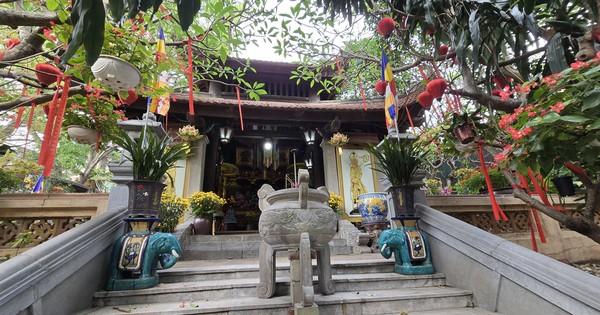 Sát ngày cưỡng chế, mới có 2 hộ đồng ý bàn giao mặt bằng cho Dự án tôn tạo di tích Gò Đống Thây