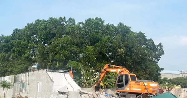 Hà Nội: Hàng loạt trường hợp vi phạm đất đai bị xử lý