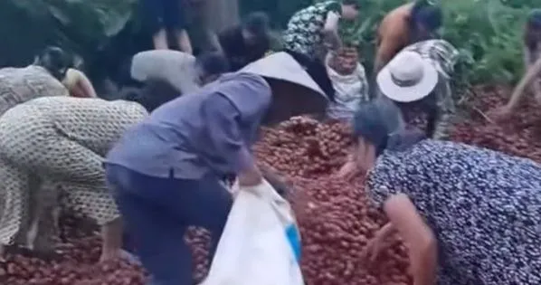 tienphong.vn