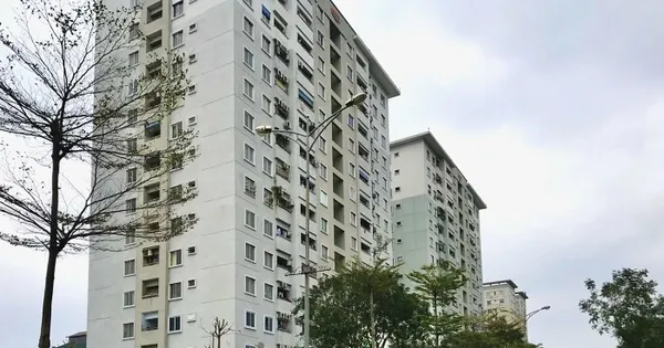 tienphong.vn