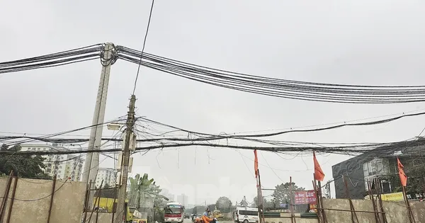 tienphong.vn