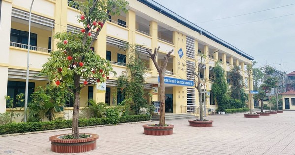 Thanh tra kết luận vụ giáo viên tiểu học bị tố 'gạ tình' nữ đồng nghiệp, đánh bảo vệ
