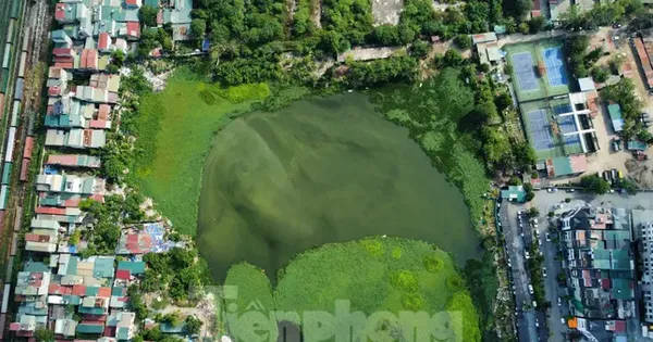 Hà Nội chỉ đạo xử lý việc 'bức tử' ao hồ, xây dựng trái phép tại phường Định Công