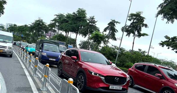 'Không ai mang cọc và rào sắt ra chôn ở giữa đường để phân làn'