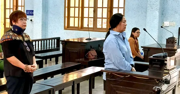 Kế toán Ủy ban MTTQ tỉnh Gia Lai chiếm đoạt tiền tỉ bị phạt 20 năm tù