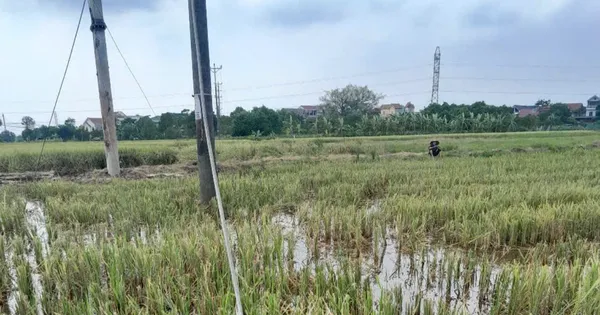 2 công nhân tử vong khi đang sửa đường dây điện