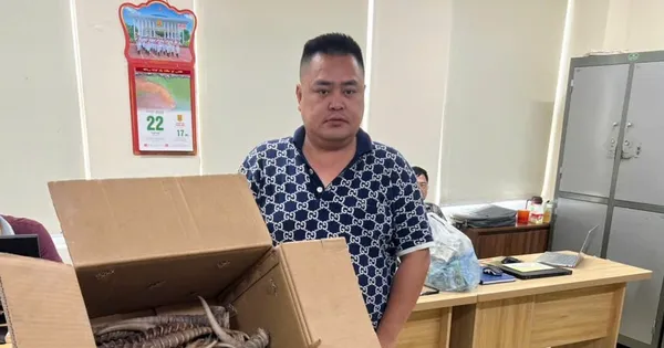 Buôn bán sừng linh dương, hai người bị phạt hơn 4 năm tù
