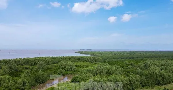 Chủ tịch xã nay có quyền thu hồi rừng, cho thuê, cấp vốn