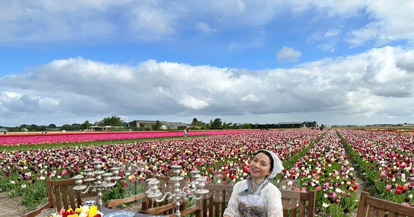 Người Việt lạc lối giữa cánh đồng hoa tulip như cổ tích ở Hà Lan