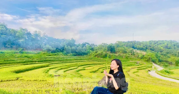 Lạc lối giữa mùa vàng lúa chín ở Pù Luông