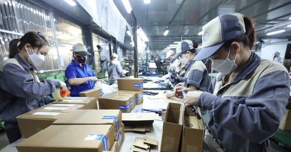 Nói thủ tục khó dễ, nhưng hỏi thật: Doanh nghiệp Việt đã 'chín' hay chưa?