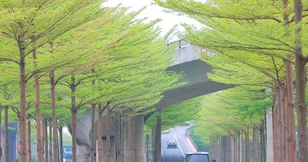 tienphong.vn