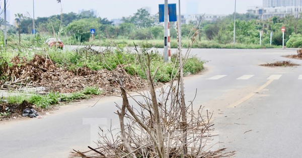 Hà Nội: Công viên nghìn tỷ dang dở, thành nơi trồng rau, đổ rác, tập lái ô tô