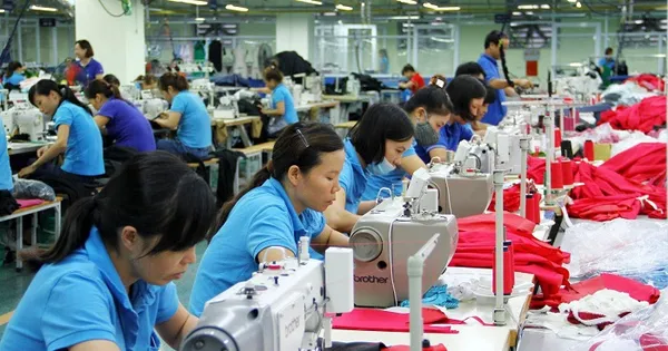 Tất cả lao động từ 16 tuổi đều được 'định danh' trong dữ liệu quốc gia