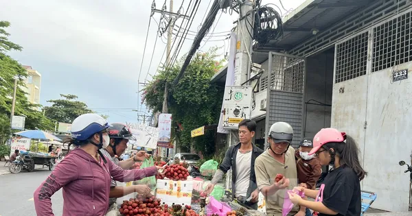Vải thiều đại hạ giá tại TPHCM