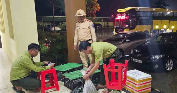Xe khách vận chuyển động vật hoang dã trái phép