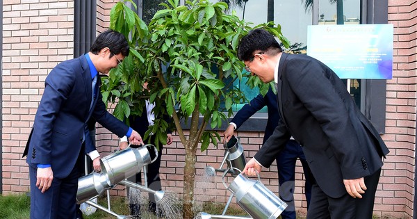 Cây hữu nghị thanh niên Việt Nam - Trung Quốc