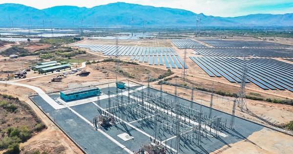 Ninh Thuận thông tin vụ truy thu 73 tỷ đồng tiền thuế của hai doanh nghiệp điện