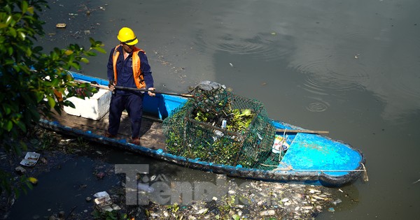 Dọn cá chết nổi trắng trên kênh Nhiêu Lộc